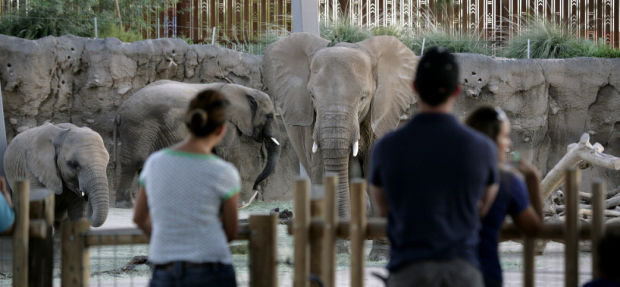 Reid Park Zoo